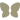 INSECT MOTIF